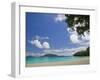 The Best on Santo, Champagne Beach, Espiritu Santo Island, Vanuatu-Walter Bibikow-Framed Photographic Print