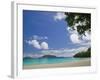 The Best on Santo, Champagne Beach, Espiritu Santo Island, Vanuatu-Walter Bibikow-Framed Photographic Print