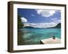 The Best on Santo, Champagne Beach, Espiritu Santo Island, Vanuatu-Walter Bibikow-Framed Photographic Print