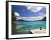 The Best on Santo, Champagne Beach, Espiritu Santo Island, Vanuatu-Walter Bibikow-Framed Photographic Print