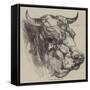 The Best Short-Horned Bull-Harrison William Weir-Framed Stretched Canvas