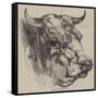 The Best Short-Horned Bull-Harrison William Weir-Framed Stretched Canvas