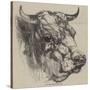 The Best Short-Horned Bull-Harrison William Weir-Stretched Canvas