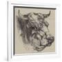 The Best Short-Horned Bull-Harrison William Weir-Framed Giclee Print