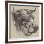 The Best Short-Horned Bull-Harrison William Weir-Framed Giclee Print