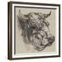 The Best Short-Horned Bull-Harrison William Weir-Framed Giclee Print