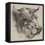 The Best Short-Horned Bull-Harrison William Weir-Framed Stretched Canvas