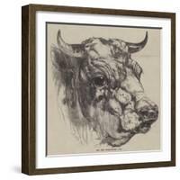 The Best Short-Horned Bull-Harrison William Weir-Framed Giclee Print