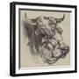 The Best Short-Horned Bull-Harrison William Weir-Framed Giclee Print