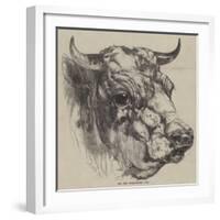 The Best Short-Horned Bull-Harrison William Weir-Framed Giclee Print