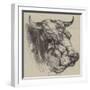 The Best Short-Horned Bull-Harrison William Weir-Framed Giclee Print