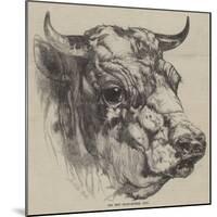 The Best Short-Horned Bull-Harrison William Weir-Mounted Giclee Print