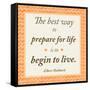 The Best Way-Janice Gaynor-Framed Stretched Canvas