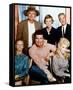 The Beverly Hillbillies (1962)-null-Framed Stretched Canvas