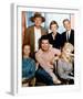 The Beverly Hillbillies (1962)-null-Framed Photo