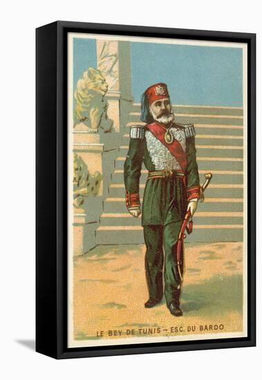The Bey of Tunis-null-Framed Stretched Canvas