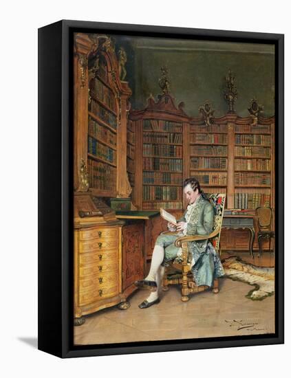 The Bibliophile-Johann Hamza-Framed Stretched Canvas