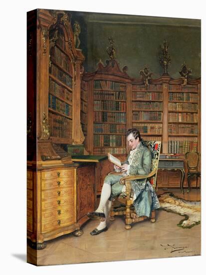 The Bibliophile-Johann Hamza-Stretched Canvas