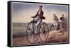 The (Bicycle) Velocipede-Currier & Ives-Framed Stretched Canvas