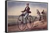 The (Bicycle) Velocipede-Currier & Ives-Framed Stretched Canvas