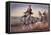 The (Bicycle) Velocipede-Currier & Ives-Framed Stretched Canvas