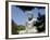 The Big Buddha Statue, Kamakura City, Kanagawa Prefecture, Japan-Christian Kober-Framed Photographic Print