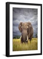 The Big Bull-Mario Moreno-Framed Photographic Print