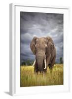 The Big Bull-Mario Moreno-Framed Photographic Print