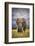 The Big Bull-Mario Moreno-Framed Photographic Print