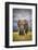 The Big Bull-Mario Moreno-Framed Photographic Print