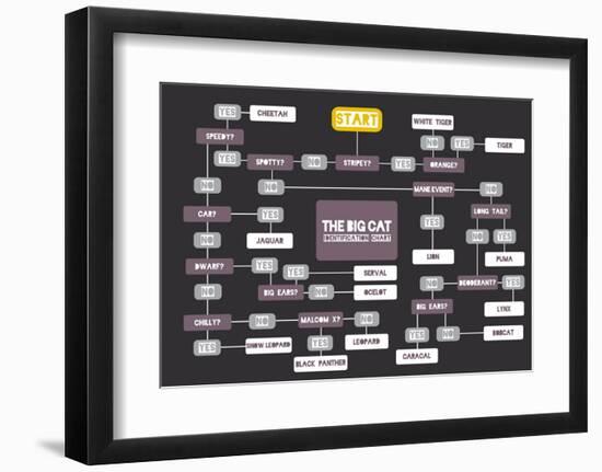 The Big Cat Identification Chart-Stephen Wildish-Framed Art Print