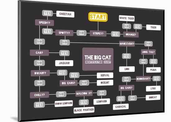 The Big Cat Identification Chart-Stephen Wildish-Mounted Art Print