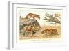 The Big Cats-null-Framed Art Print