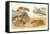 The Big Cats-null-Framed Stretched Canvas