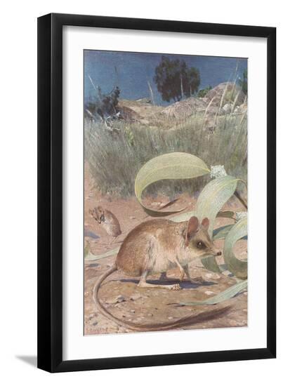 Art Print, , large