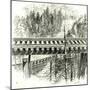 The Big Loop on the Shasta Railway Near Mccloud 1891, USA-null-Mounted Giclee Print