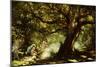 The Big Oak, Raheen, Co. Galway-George Russell-Mounted Giclee Print