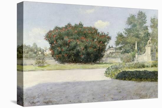 The Big Oleander-William Merrit Chase-Stretched Canvas