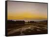 The big preserve near Dresden-Caspar David Friedrich-Framed Stretched Canvas