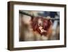 The Big Query-Antje Wenner-Braun-Framed Photographic Print