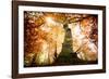 the big red oak-Philippe Manguin-Framed Photographic Print