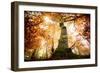 the big red oak-Philippe Manguin-Framed Photographic Print