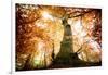 the big red oak-Philippe Manguin-Framed Photographic Print