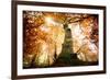 the big red oak-Philippe Manguin-Framed Photographic Print