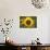 The Big Sunflower in Garden-Yanukit-Photographic Print displayed on a wall