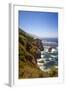 The Big Sur Coastline of California-Andrew Shoemaker-Framed Photographic Print