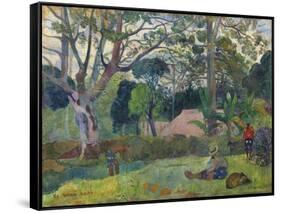 The Big Tree , 1891-Paul Gauguin-Framed Stretched Canvas