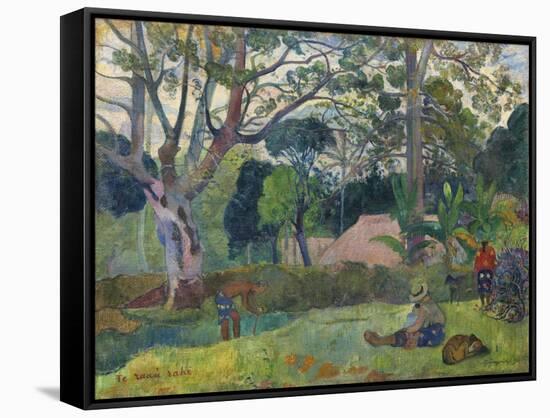 The Big Tree , 1891-Paul Gauguin-Framed Stretched Canvas