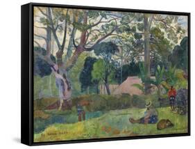 The Big Tree , 1891-Paul Gauguin-Framed Stretched Canvas