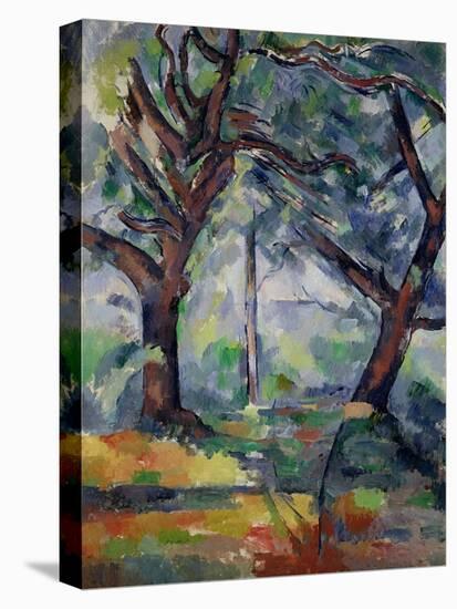 The Big Trees, C.1904-Paul Cézanne-Stretched Canvas